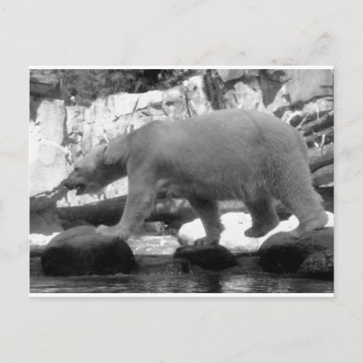 RETT DER POLAR-BÄREN POSTKARTE (Vorderseite)