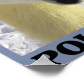 Rett der Polarbären Poster (Ecke)