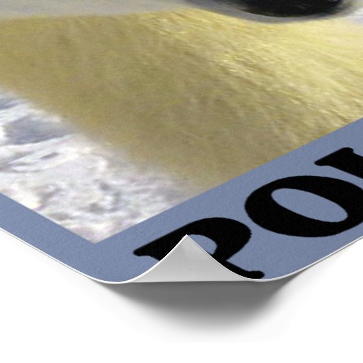 Rett der Polarbären Poster (Ecke)