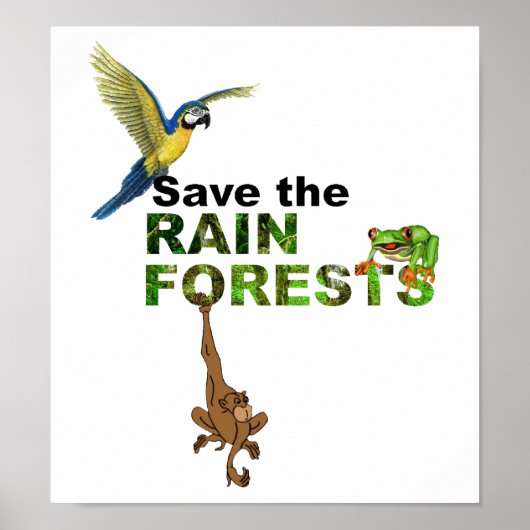 Rett der Regenwälder Poster (Vorne)