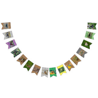 Rett der Schmetterlinge zum Geburtstag Wimpelkette