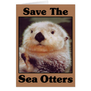 Rett der Sea Otters