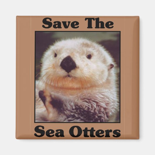 Rett der Sea Otters Magnet (Vorne)
