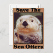 Rett der Sea Otters Postkarte (Vorne/Hinten)