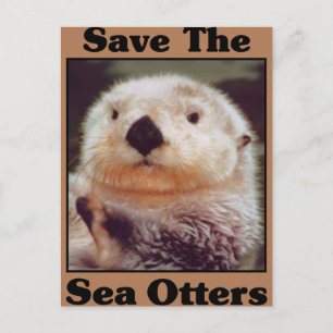 Rett der Sea Otters Postkarte