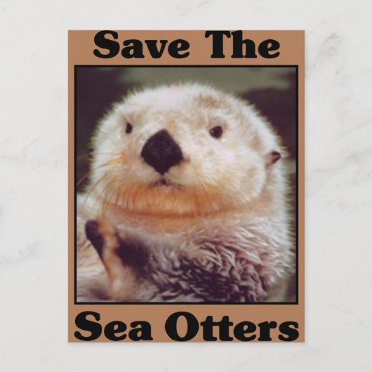 Rett der Sea Otters Postkarte (Vorderseite)