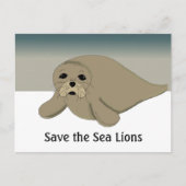 Rett der Seelöwen Postkarte (Vorderseite)