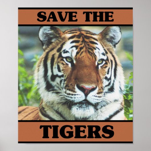 Rett der Tiger Poster (Vorne)