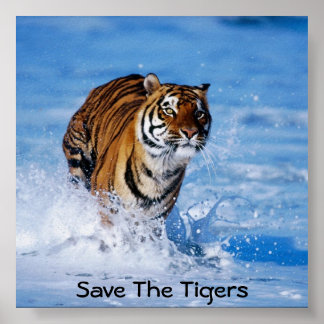 Rett der Tiger Poster