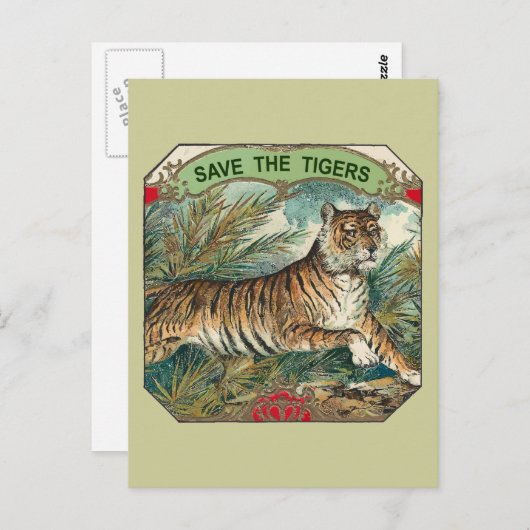Rett der Tiger Postkarte (Vorne/Hinten)