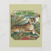 Rett der Tiger Postkarte (Vorderseite)