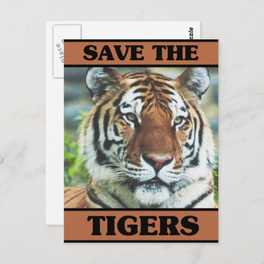 Rett der Tiger Postkarte (Vorne/Hinten)