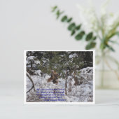 Rett der Wälder Postkarte (Stehend Vorderseite)