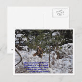 Rett der Wälder Postkarte (Vorne/Hinten)