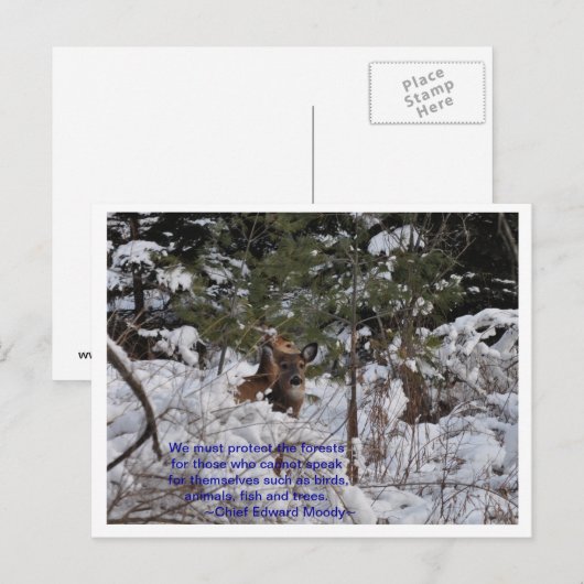 Rett der Wälder Postkarte (Vorne/Hinten)