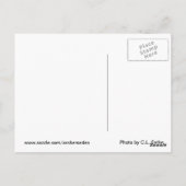 Rett der Wälder Postkarte (Rückseite)