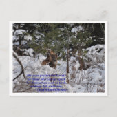 Rett der Wälder Postkarte (Vorderseite)