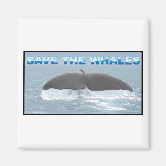 Rett der Wale Magnet (Vorne)