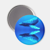 Rett der Wale Magnet (Vorderseite/Rückseite)