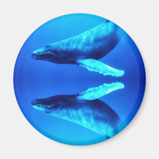 Rett der Wale Magnet (Vorne)