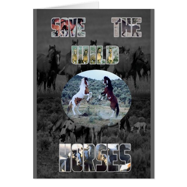 Rett der Wildpferde (Vorne)