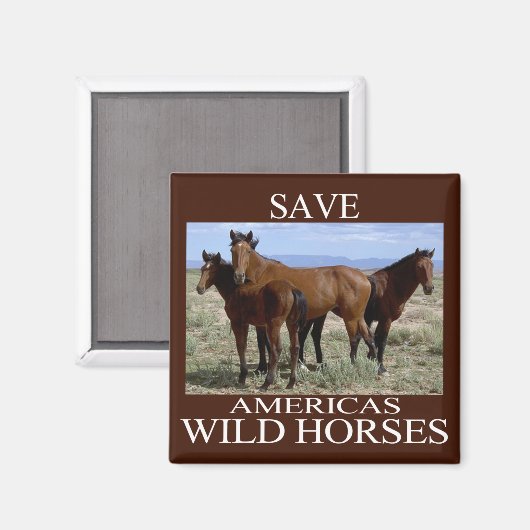 Rett der Wildpferde Magnet (Vorderseite/Rückseite)