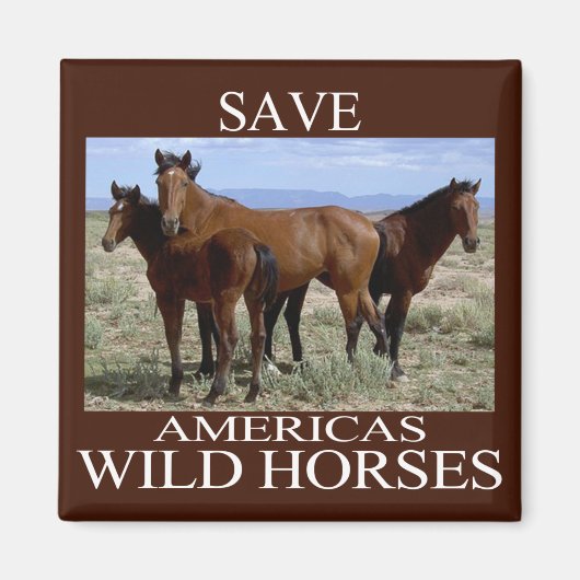 Rett der Wildpferde Magnet (Vorne)