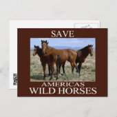 Rett der Wildpferde Postkarte (Vorne/Hinten)