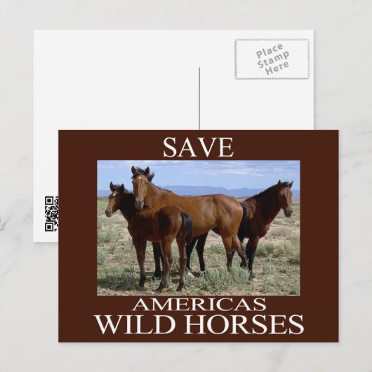 Rett der Wildpferde Postkarte (Vorne/Hinten)