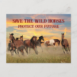 Rett der Wildpferde Postkarte