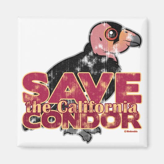 Rett des California Condor Magnet (Vorne)