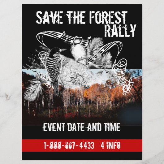 Rett des Flyers Forest Flyer (Hinten)