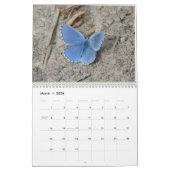 Rett des Kalenders der Schmetterlinge 2024 Kalender (Mär 2026)