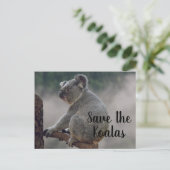 Rett des Koalas Postkarte (Stehend Vorderseite)
