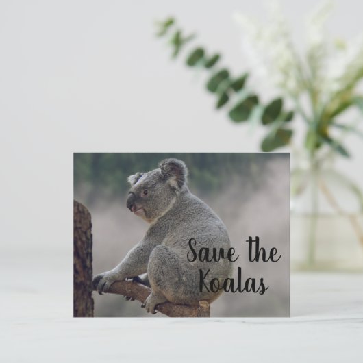 Rett des Koalas Postkarte (Stehend Vorderseite)