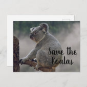 Rett des Koalas Postkarte (Vorne/Hinten)
