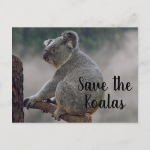 Rett des Koalas Postkarte