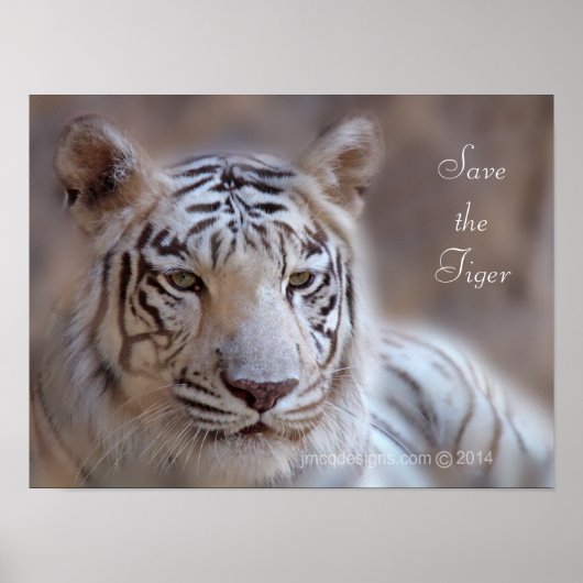 Rett des Tiger White Bengalisch Tiger Poster (Vorne)