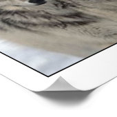 Rett des Wolfs Poster (Ecke)