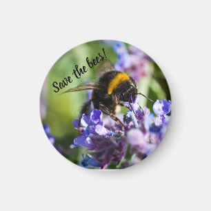 "Rett die Bienen" Biene auf einer lila Blume Magne Magnet