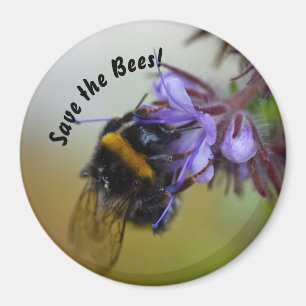 "Rett die Bienen!" Magnet