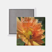 Rett die Bienen... Peach Dahlia Magnet (Vorderseite/Rückseite)