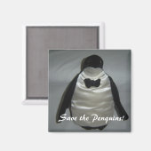 Rett die Penquins! Magnet (Vorderseite/Rückseite)