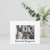 Rett die Pinguine! Postkarte (Stehend Vorderseite)