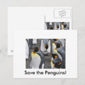 Rett die Pinguine! Postkarte (Vorne/Hinten)
