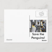 Rett die Pinguine! Postkarte (Rückseite)