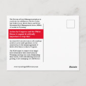 Rett die wilden Pferde der Wyoming Postkarte (Rückseite)