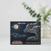 RETT DIE WOLVES ! - POSTKARTE (Stehend Vorderseite)