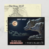 RETT DIE WOLVES ! - POSTKARTE (Vorne/Hinten)