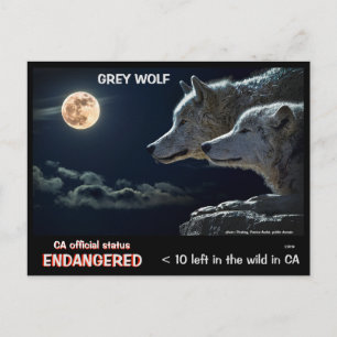 RETT DIE WOLVES ! - POSTKARTE